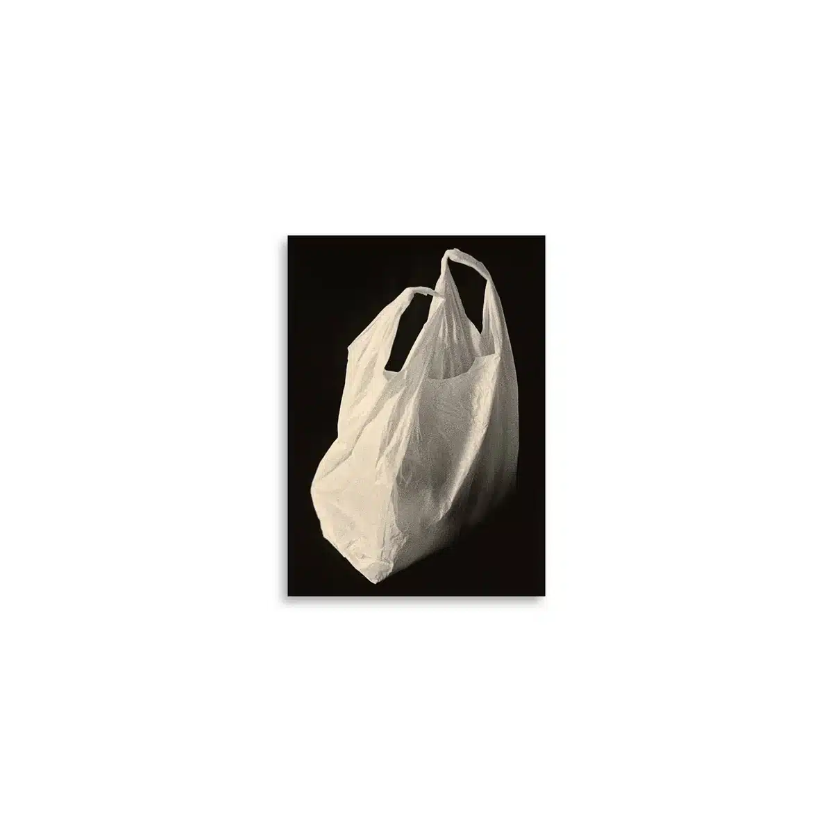 Paper Collective - Plastic Bag Poster