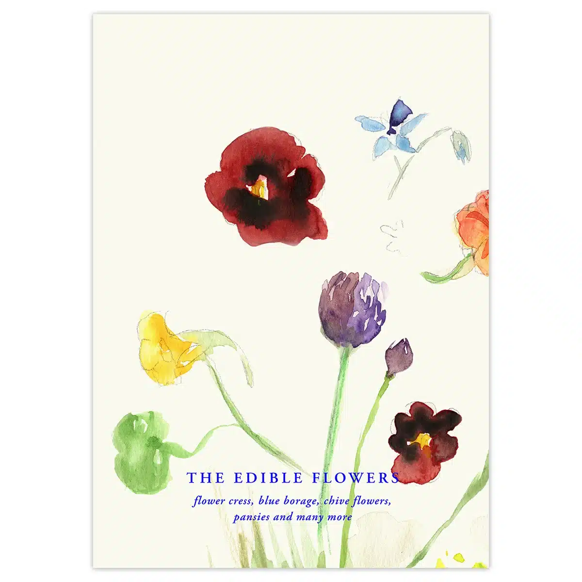 Paper Collective - The Edible Flowers Poster