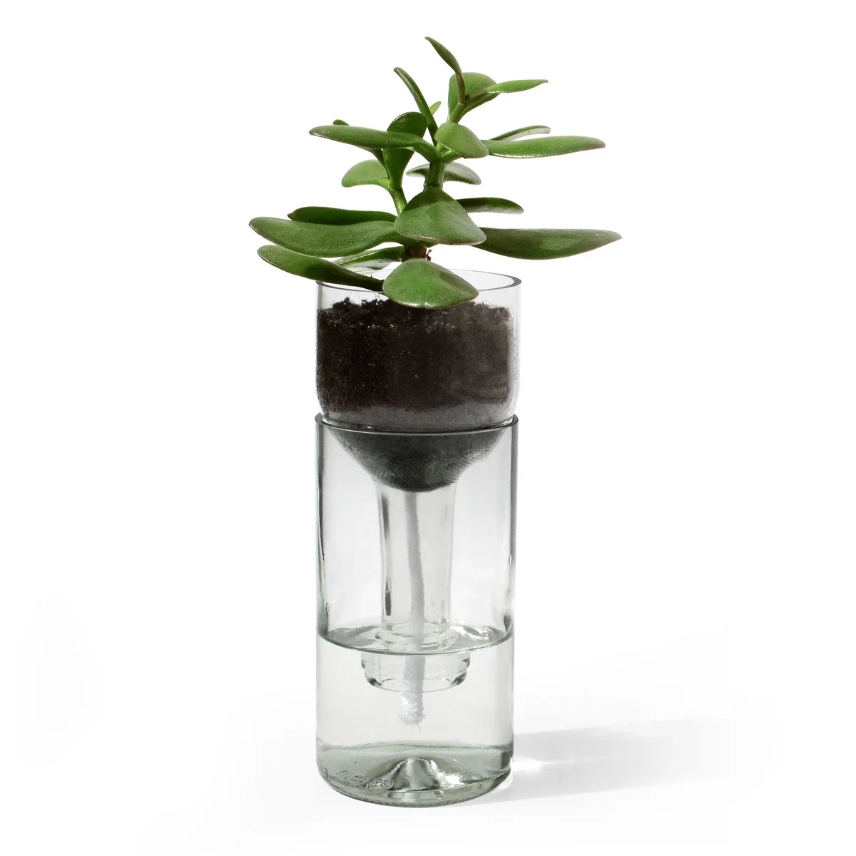 side by side - Self Watering Bottle Blumentopf